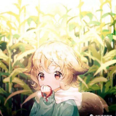普京抱过的中国男孩曾在俄罗斯留学